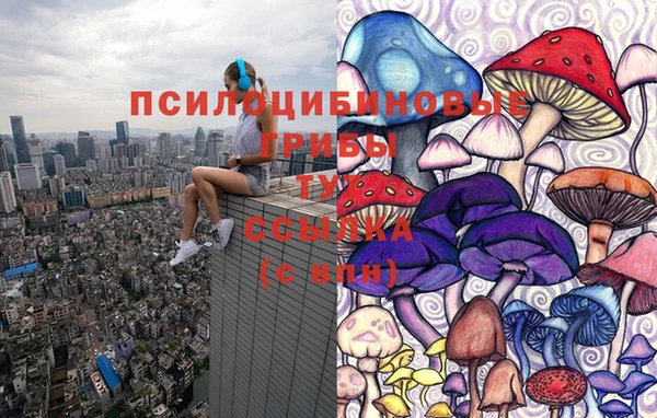 прущий лед Арсеньев
