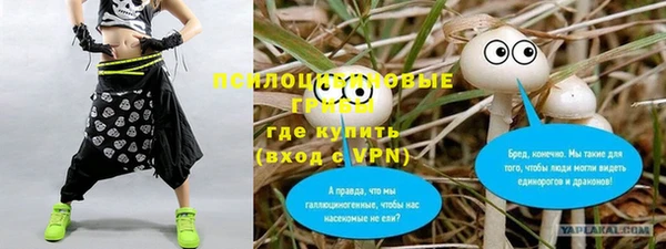 Альфа ПВП Армянск