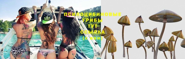 Альфа ПВП Армянск