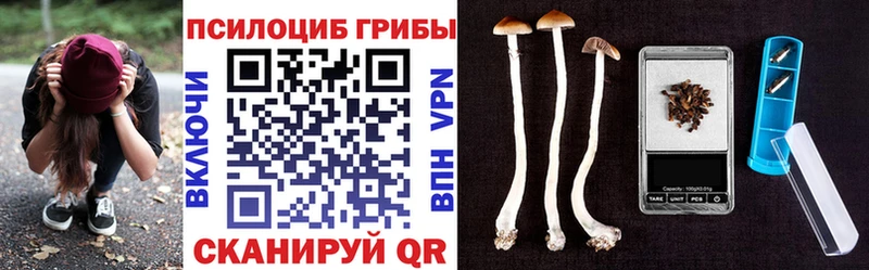 Галлюциногенные грибы мухоморы  купить наркотики цена  ОМГ ОМГ ссылка  Островной 